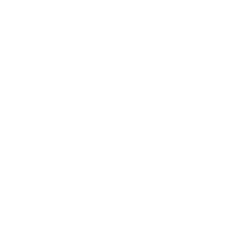 Globo RJ
