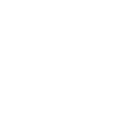 SBT SP
